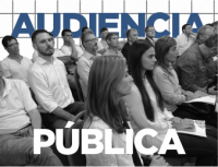 Audiencia Publica